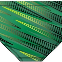 Medford Village 22 - Dolfin Custom Velocity Racer