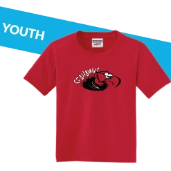 Promotions Now Haddon Township 22- Youth Tee